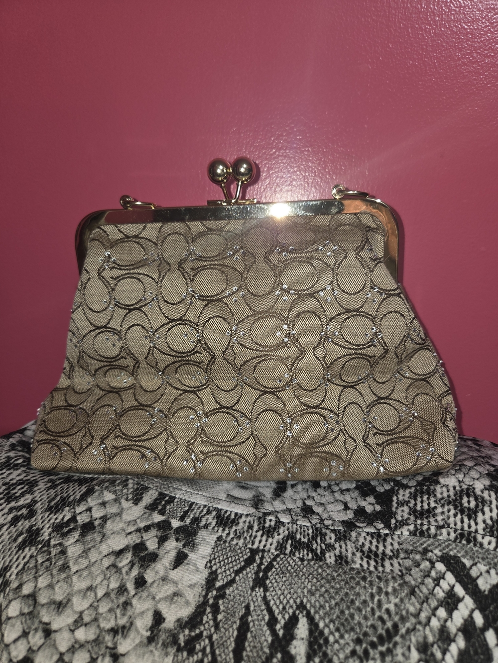 Beige Patterned Women's Kiss  Purse